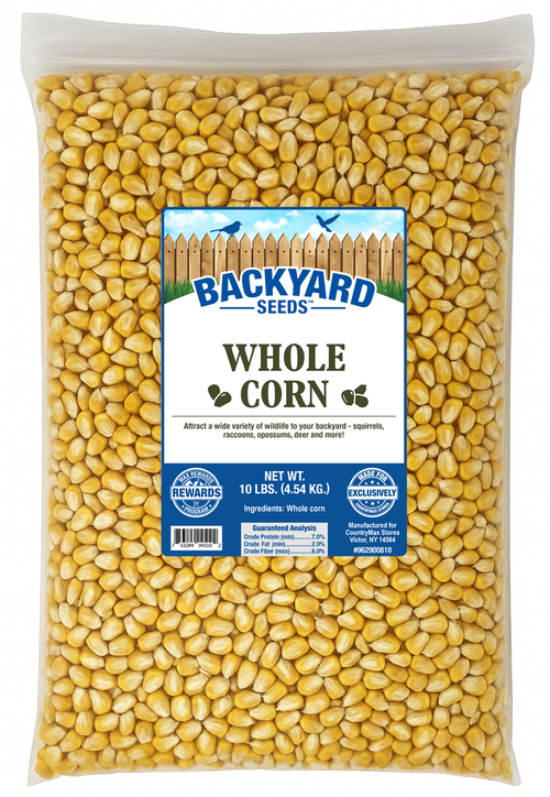 Backyard Seeds Whole Corn 10 Lb. - CountryMax