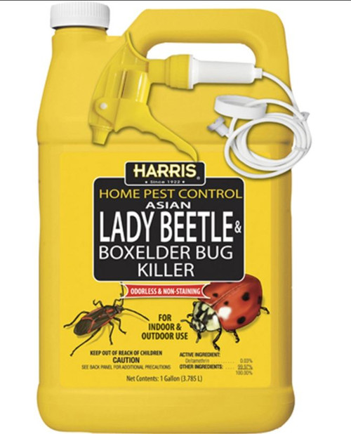 Harris Asian Lady Beetle & Box Elder Bug Killer, 128 OZ - CountryMax