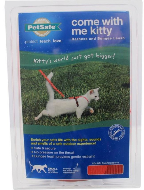 petsafe cat harness