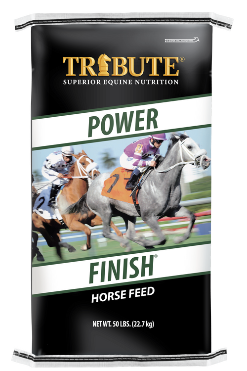 Kalmbach Feeds Tribute Power Finish Textured Horse Feed, 50lbs