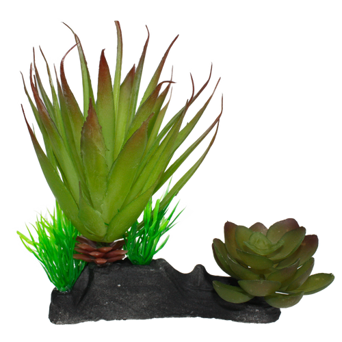 Komodo Succulent Reptile Tank Plant w/ Weighted Base