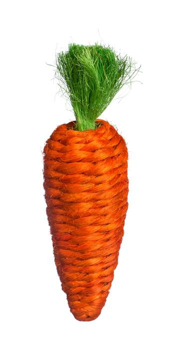 Grassy Nibblers Carrot Chew Toy