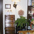 Wood carved, wall hanging "Flower of Life" by Signs of Spirit.