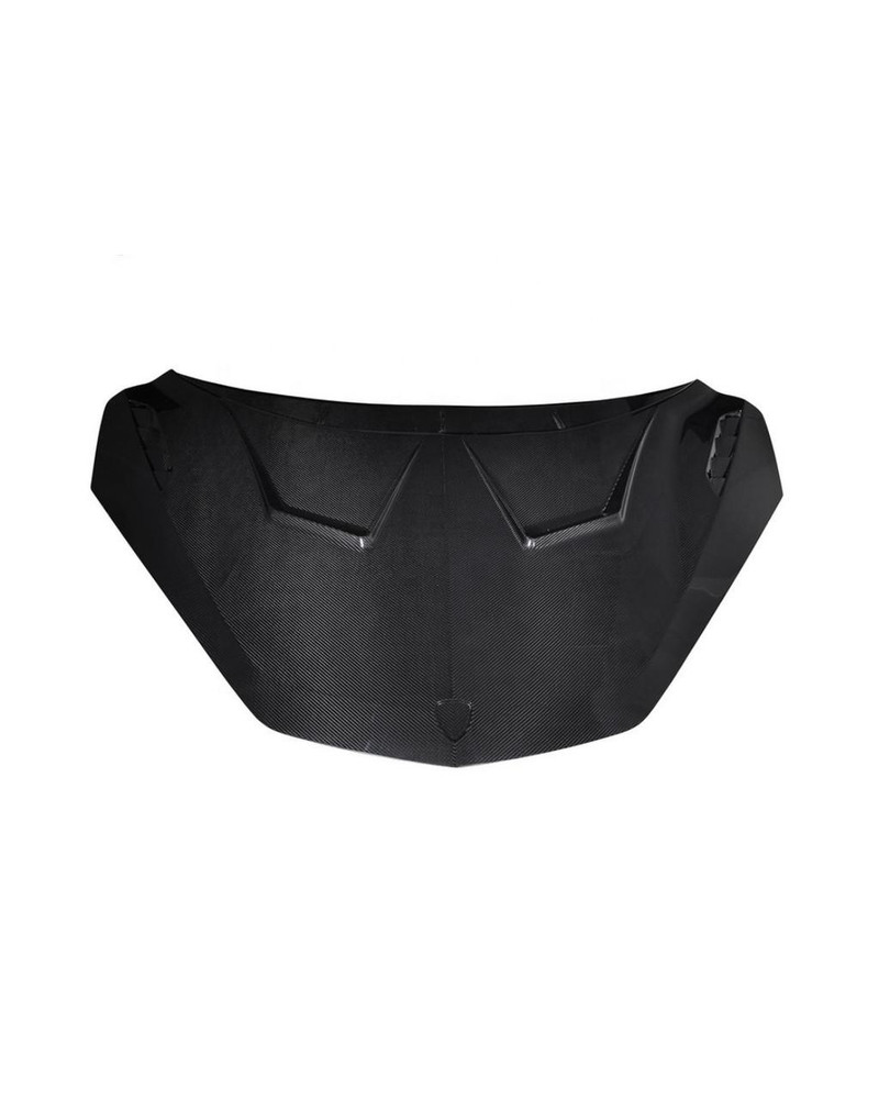 Lamborghini Revuelto front hood 