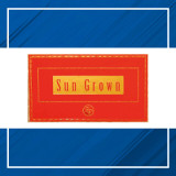 Rocky Patel Sun Grown