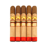 AJ Fernandez Dias de Gloria Robusto 5 Pack