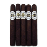 Ashton Aged Maduro No. 20 5 Pack