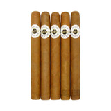 Ashton Churchill 5 Pack