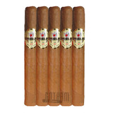 Baccarat Petit Corona 5 Pack