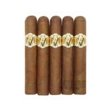 AVO Robusto 5 Pack