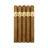 AVO XO Maestoso 5 Pack