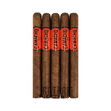 Camacho Corojo Churchill 5 Pack