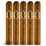 CAO Gold Robusto 5 Pack