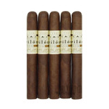 CAO Pilon Corona 5 Pack