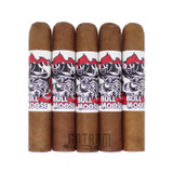 Chillin Moose Bull Moose Gigante XL 5 Pack