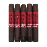 Chillin Moose Too Robusto 5 Pack