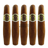 Macanudo Diplomat 5 Pack