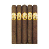 Oliva Serie G Toro 5 Pack