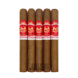 Partagas Cortado Corona 5 Pack