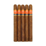 Punch After Dinner 5 Pack