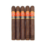  Punch Elites Maduro 5 Pack