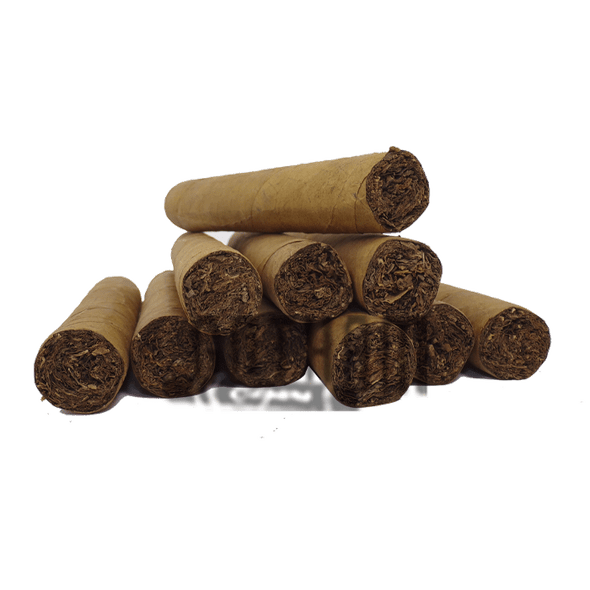 Muscle Car Habano 660 Sticks