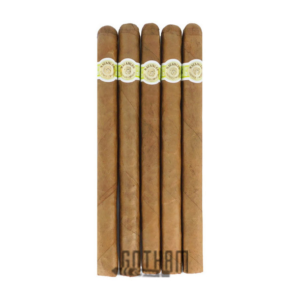 Macanudo Claybourne Cafe 5 Pack