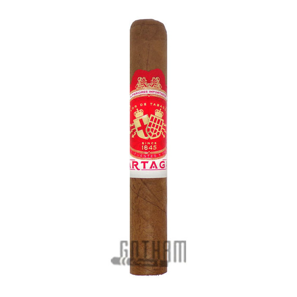 Partagas Cortado Robusto stick