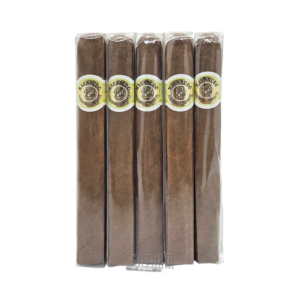 Macanudo Duke Of Devon 5 Pack