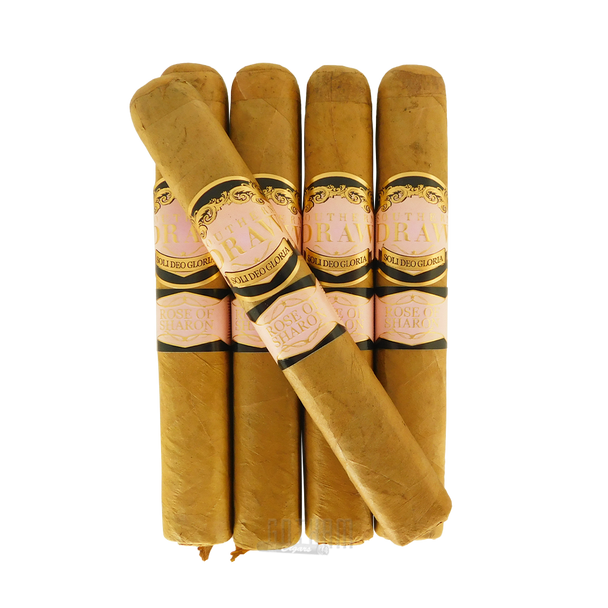Southern Draw Rose Of Sharon Robusto 5 Pack with Stick