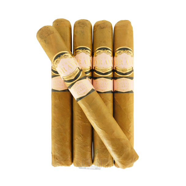 Southern Draw Rose Of Sharon Gordo 5 Pack and Stick