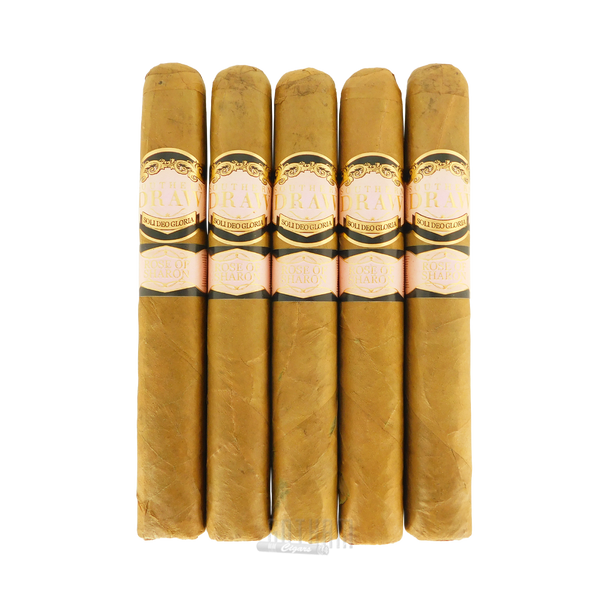 Southern Draw Rose Of Sharon Gordo 5 Pack