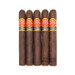 Punch Elites Maduro 5 Pack