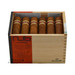 Nub Habano 460 open box