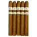 Rocky Patel Vintage 1999 Churchill 5 Pack