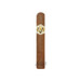 AVO Robusto Stick
