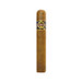 Quorum Classic Double Gordo Stick