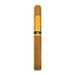 Perdomo Reserve Champagne 10th Anniversary Churchill