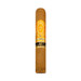 Perdomo Reserve Champagne 10th Anniversary Robusto