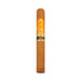 Perdomo Reserve Champagne 10th Anniversary Epicure