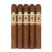 Ashton Symmetry Sublime five pack