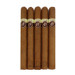 Cusano 18 Year Connecticut Churchill five pack
