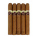Cusano 18 Year Connecticut Gordo five pack