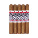 Chillin Moose Bull Moose Gigante XXL five pack