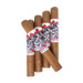 Chillin Moose Bull Moose Gigante XXL