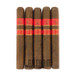Rocky Patel Sun Grown Robusto 5 Pack 