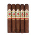 Ashton Symmetry Robusto 5 Pack