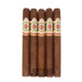 Ashton Symmetry Prestige 5 pack
