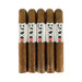 Alec Bradley MAXX Culture 5 Pack 