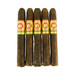 Arturo Fuente Cuban Corona Maduro 5 Pack
